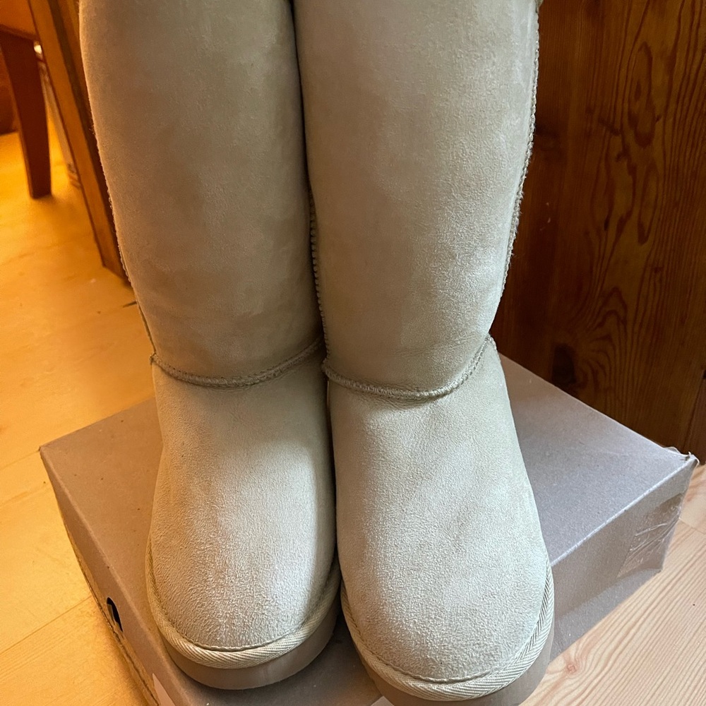 New! Australia Luxe Eva Collectiven Beige Suede Boots